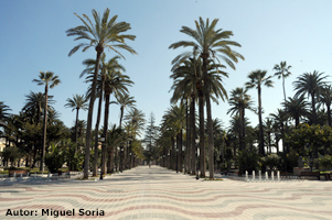 III ESTRUCTURA BOTÁNICA, FAUNA Y FLORA DE MELILLA