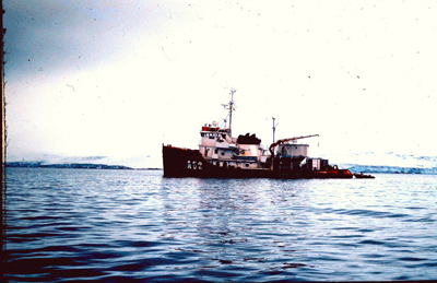 antartida las palmas