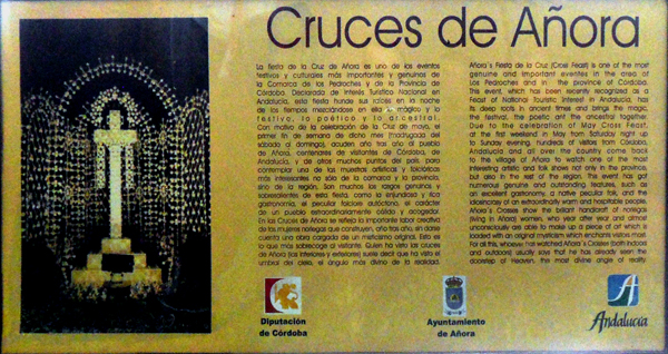 10cartel anora