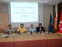 Asamblea y la presentaciu00f3n de la web